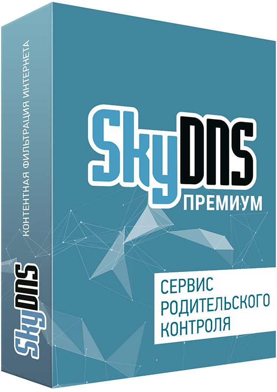 SkyDNS Премиум