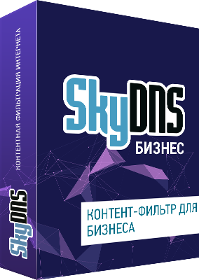 Negocios de SkyDNS